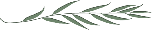 برگ